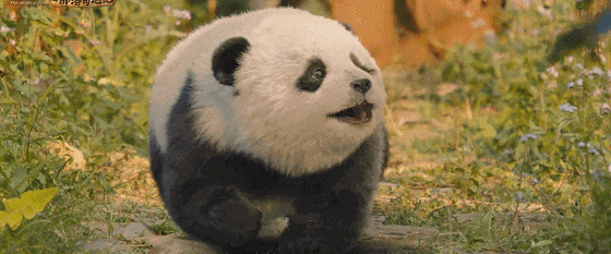 档厮杀!不想踩坑看这部就够了…九游会网址是多少八部大片春节(图28) 档厮杀!不想踩坑看这部就够了…九游会网址是多少八部大片春节(图28)